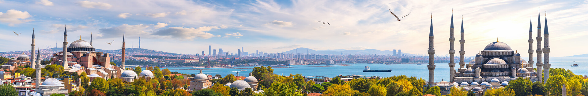 Istanbul Metropolitan Municipality will continue to make Istanbulites smile.